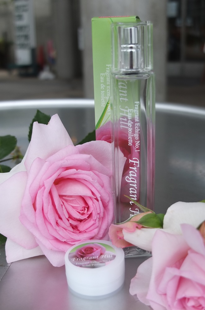 This is a perfume and solid perfume replicating the fragrance of the symbolic rose ‘Fragrant Hill’ but is no longer available for sale.