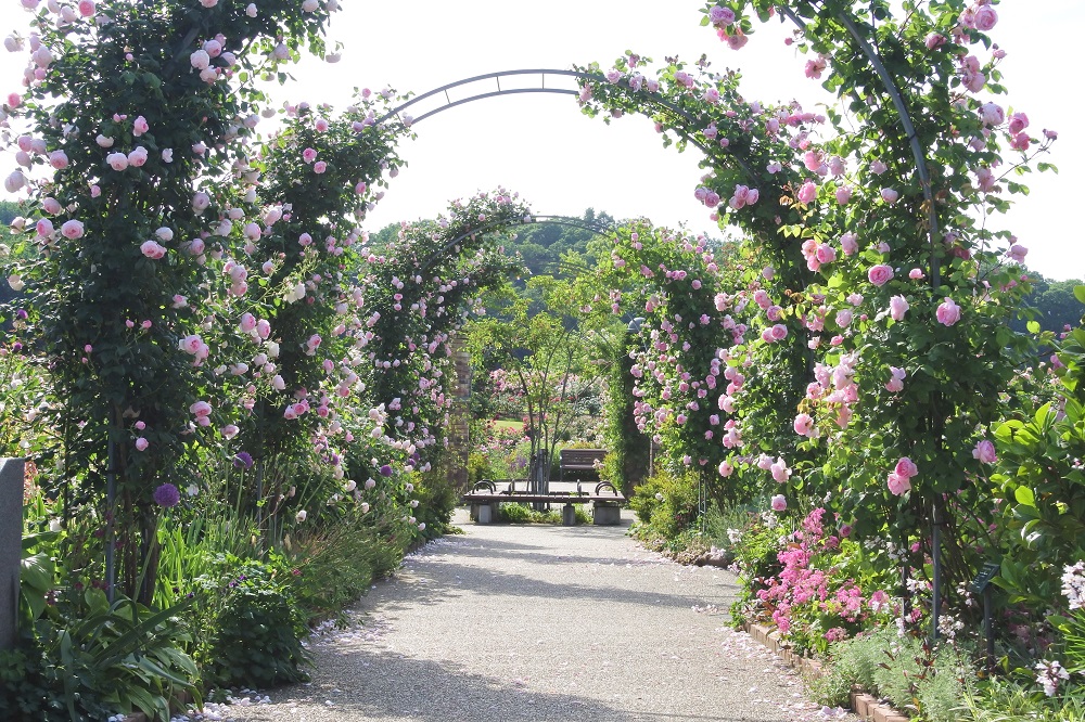 This area features a series of arches