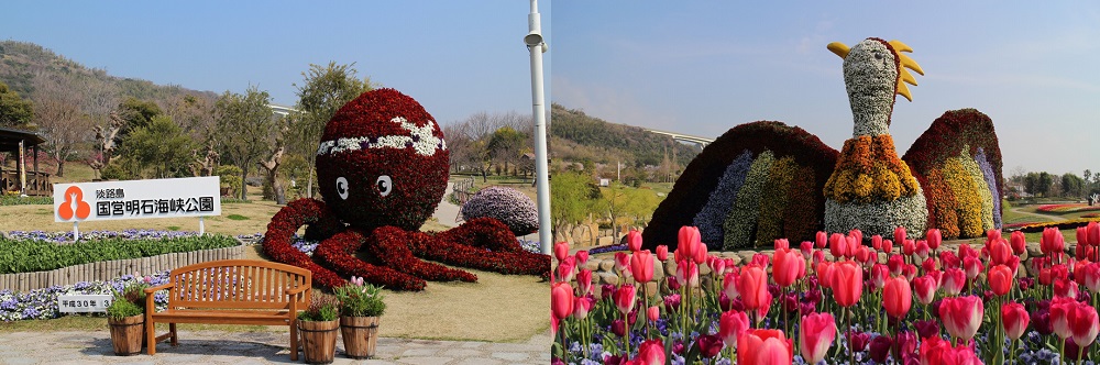 The Adorable Charm of Tako-san, the headband wearing Octopus!
A Unique, Instagram-Worthy Photo Spot
