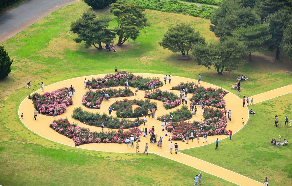 Rose Relief Garden