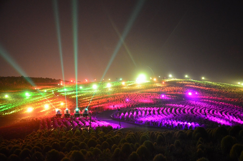 colorful LED lights