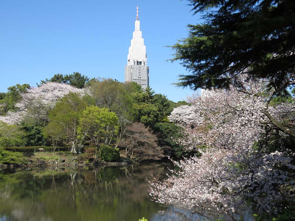 Shinjuku Gyoen 