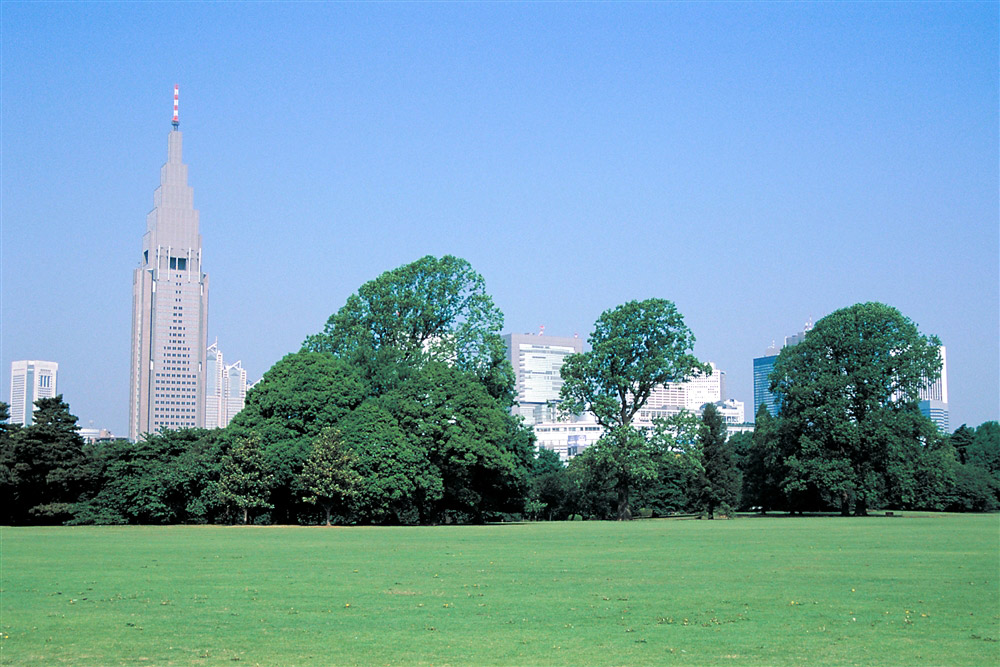 Shinjuku Gyoen 2