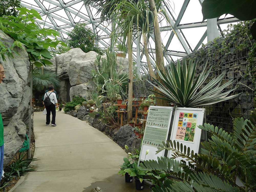 Discover Exotic Plants in the Main Greenhouse
Join a Guided Walk Held Twice a Month!