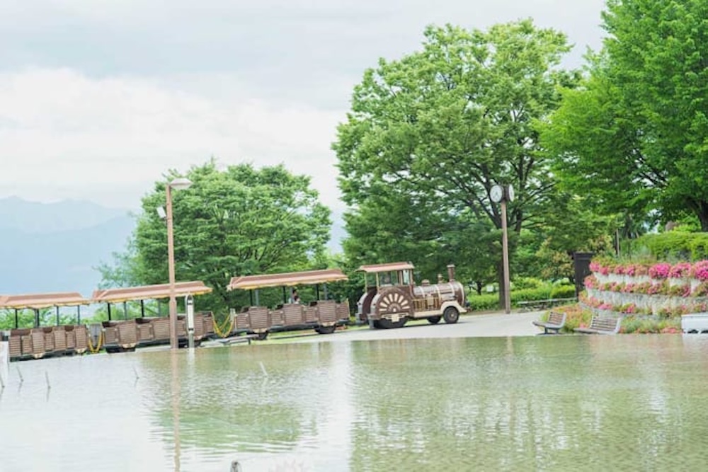 a road train operates throughout the grounds
