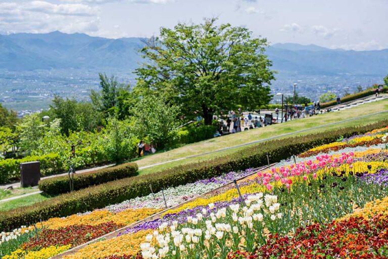 Yamanashi Fuefukigawa Fruit Park―Featuring 50 Fruit Varieties!