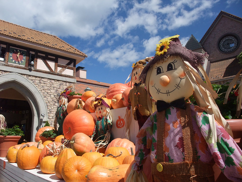 Enjoy Halloween and Illuminations!
Daily Hands-On Activities, No Reservation Needed
