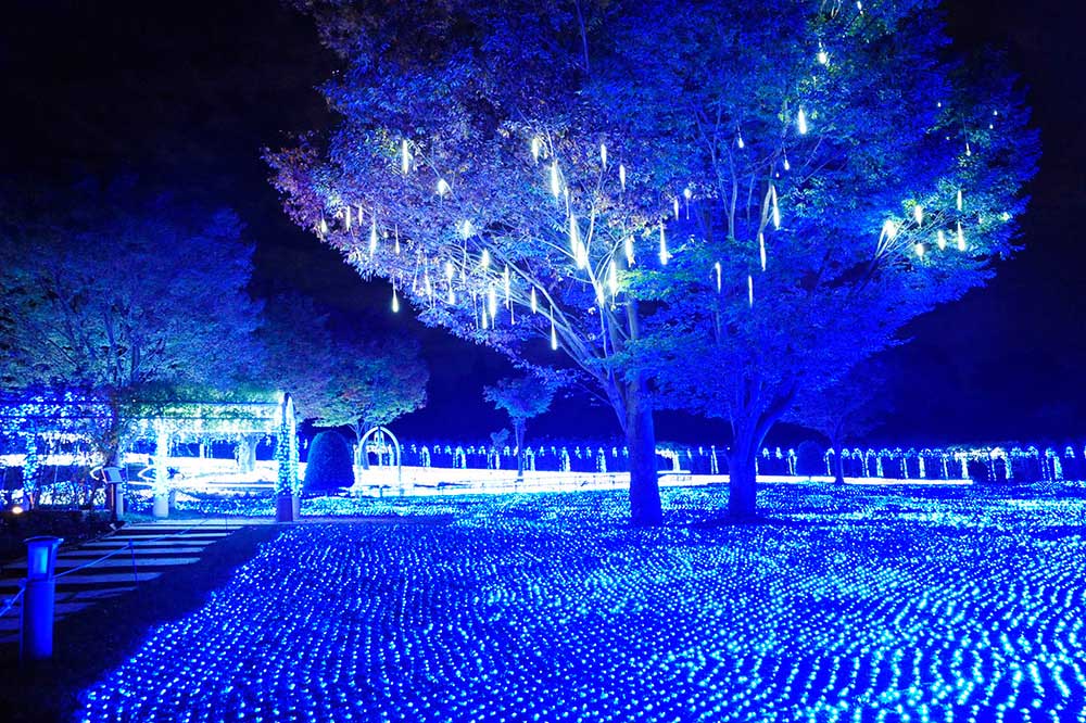 The photo shows a dynamic display created with about 400,000 LED lights. 
