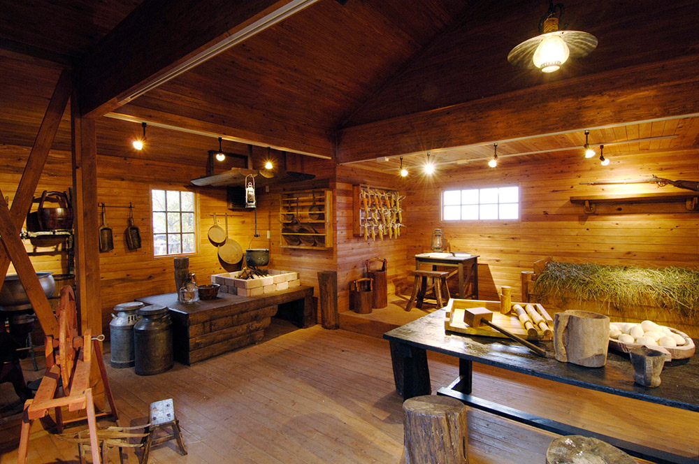 Alm Mountain Hut