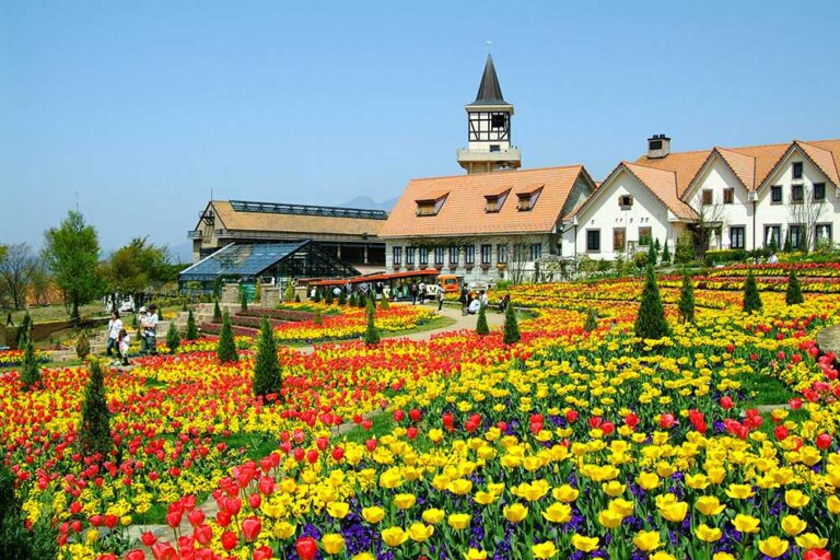 Heidi’s Village―A Beloved Theme Park and Flower Paradise