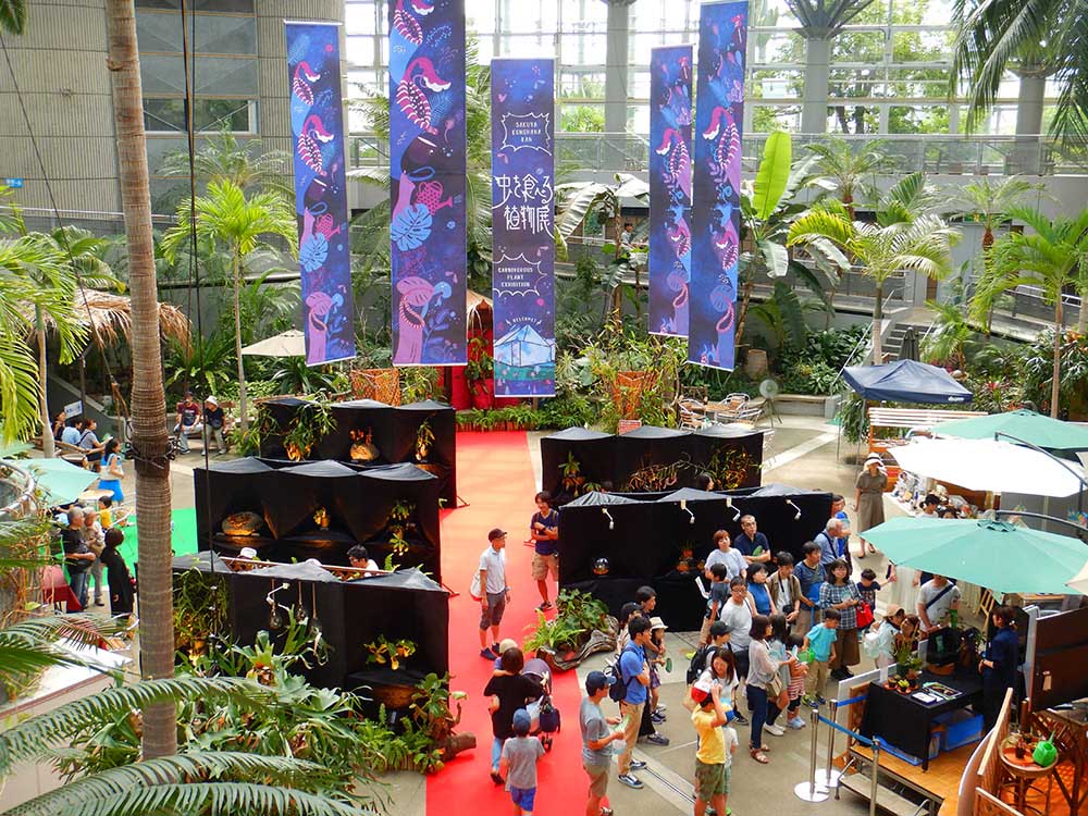 Carnivorous Plant Exhibition