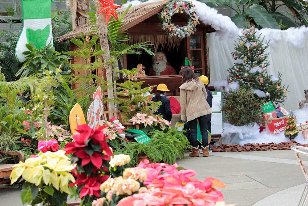 Beautiful Christmas Decorations!
The Annual Music Concerts Are Super Popular
