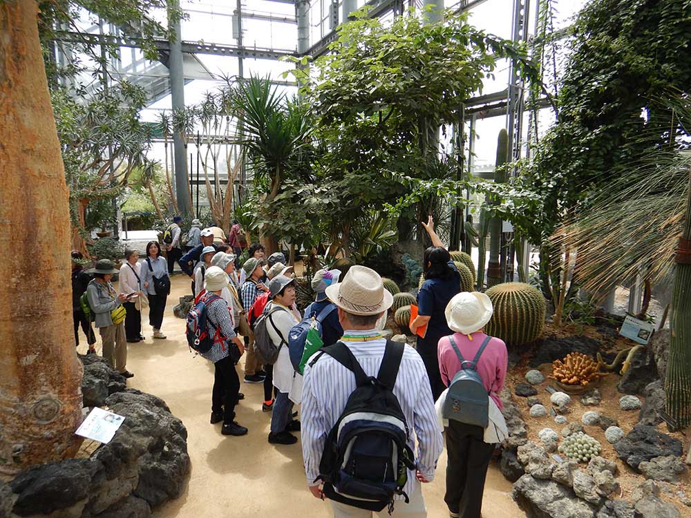 Sakuya Konohana Kan offers daily flower tours.