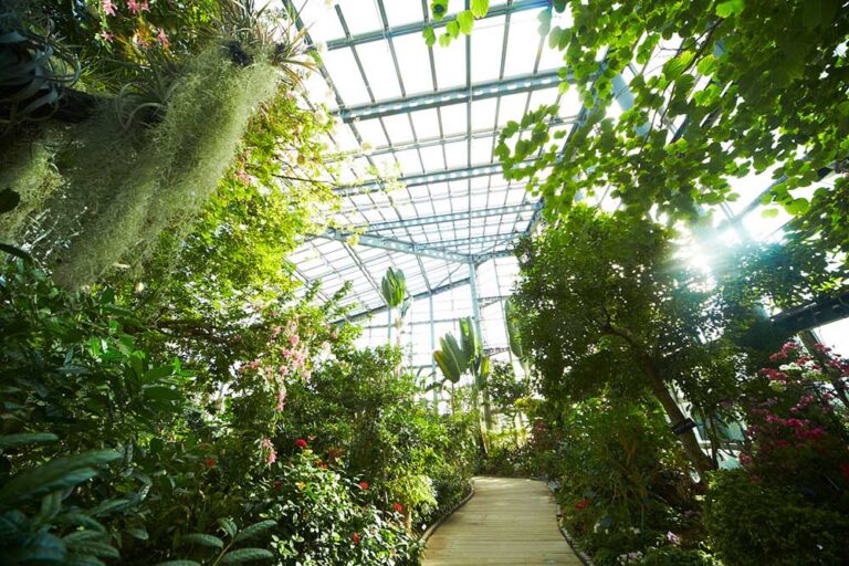 Sakuya Konohana Kan―A Greenhouse Botanical Garden Full of Hands-On Experiences