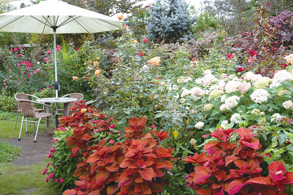 “Autumn Rose Garden Fair” at NAKANOJO GARDENS