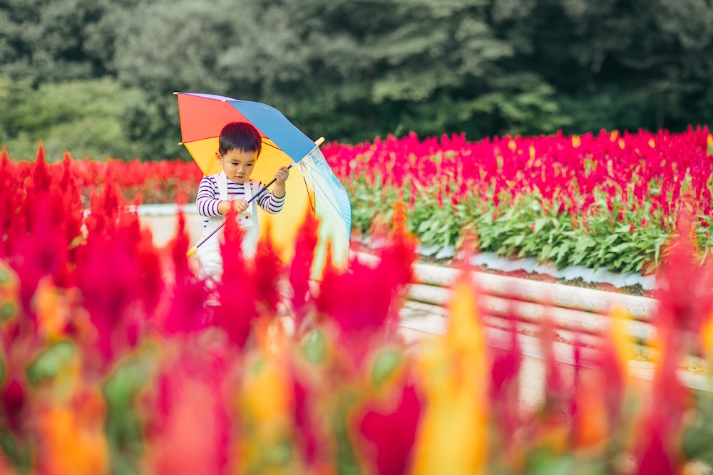 “Harvest Festival” at MUSASHI-KYURYO NATIONAL GOVERNMENT PARK