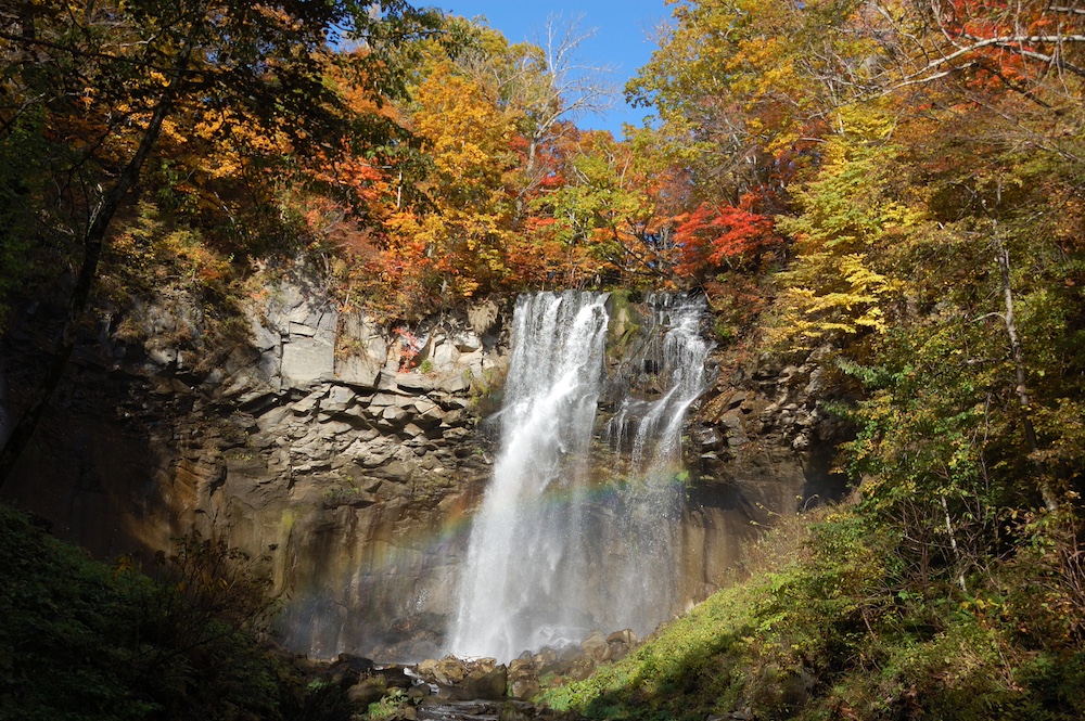 “Takino Autumn Foliage Festival” at TAKINO SUZURAN HILLSIDE PARK