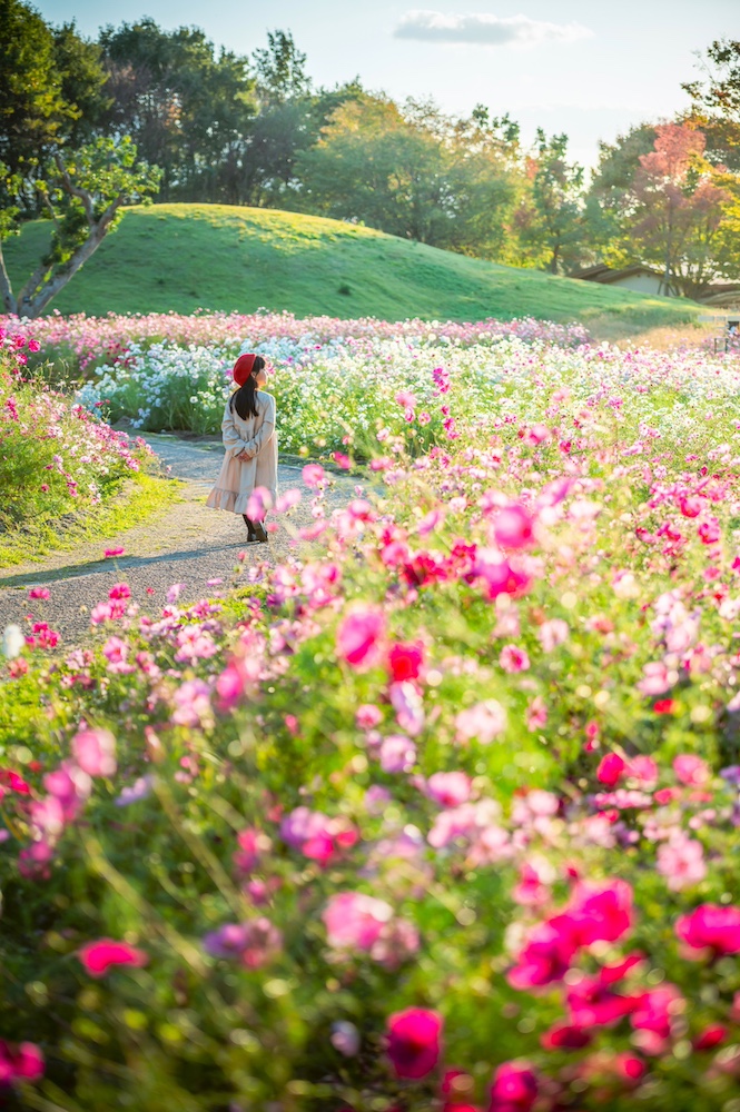 “Aki Irodori Festa” at SANUKI MANNO PARK