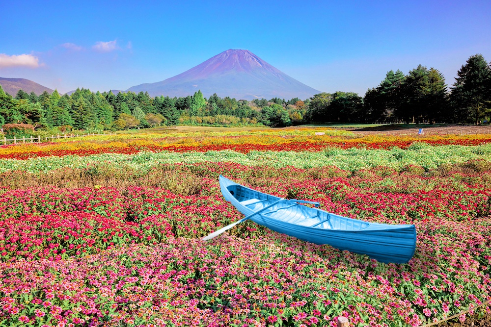 “Rainbow Flower Festival 2025” at FUJI MOTOSUKO RESORT