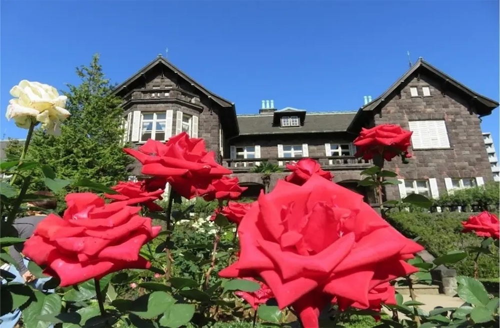 “Autumn Rose Festival” at KYU FURUKAWA GARDENS