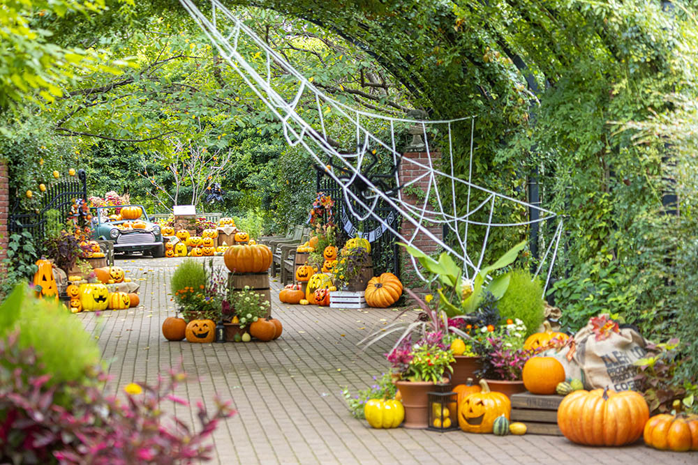 “Halloween Display” at YOKOHAMA ENGLISH GARDEN