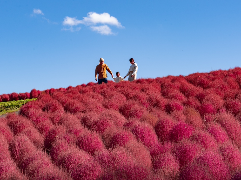 “Yuzawa Kogen Autumn Fair” at YUZAWA KOGEN PANORAMA PARK