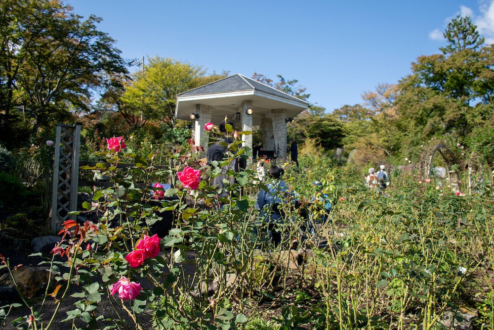 “Autumn Rose Garden Concert” at HAKONE GORA PARK