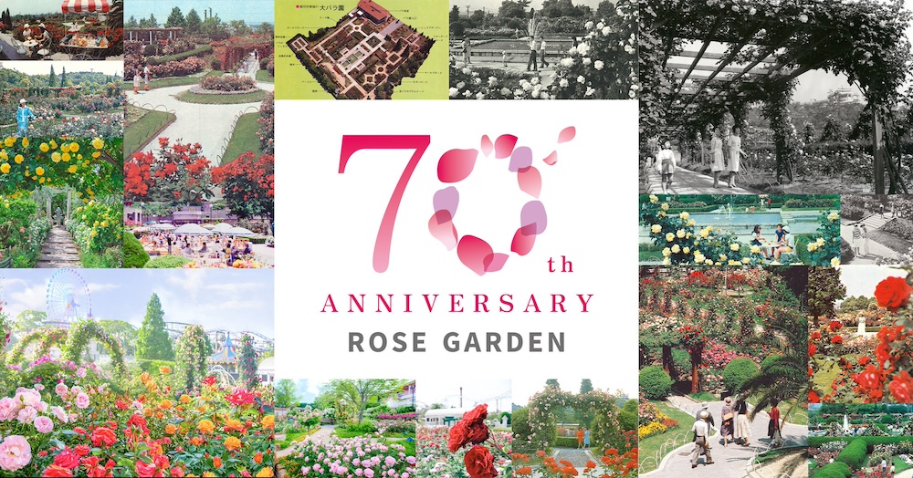 “70th Autumn Rose Festival” at HIRAKATA PARK