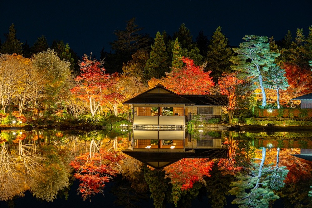 “Autumn Foliage Festival & Night Stroll 2025” at SHOWA KINEN PARK