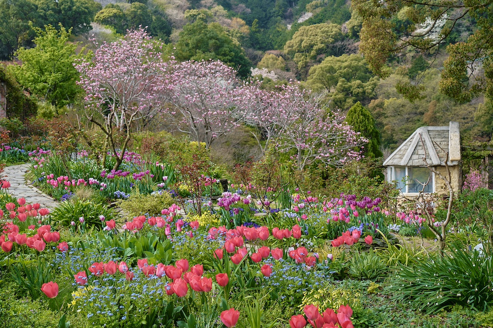 “ACAO FOREST – Flower Easter -” at ACAO FOREST
