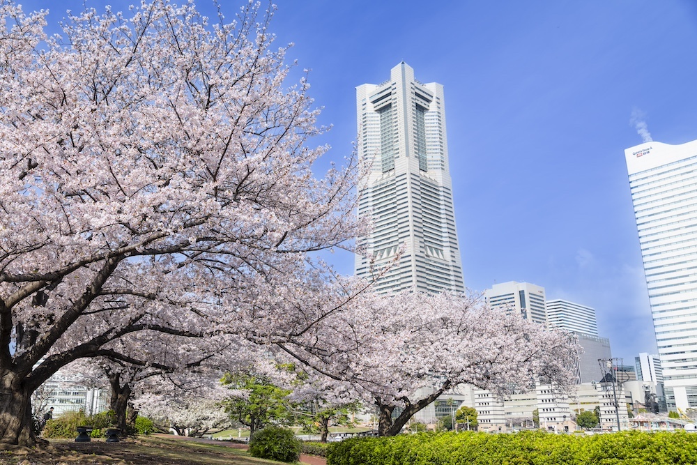 Garden Necklace YOKOHAMA 2026