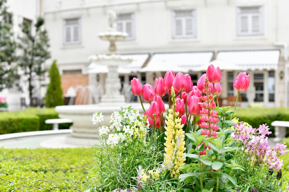 “Garden of Flower & Green” at HOTEL NEW GRAND
