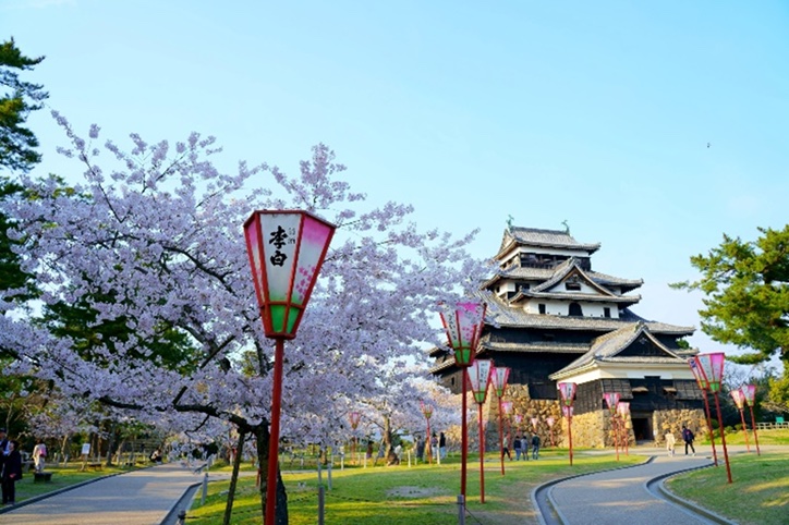 “O-shiro Castle Festival” at MATSUE CASTLE
