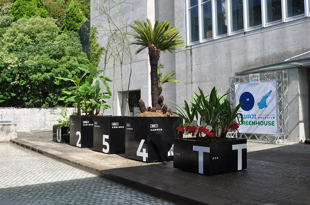 Plants symbolizing each exhibition room welcome visitors at the entrance. From left to right: U (Underground) – Phlebodium aureum; 2 – Musa basjoo; 5 – weeping willow; 4 – cycad; T – variegated Crinum asiaticum.