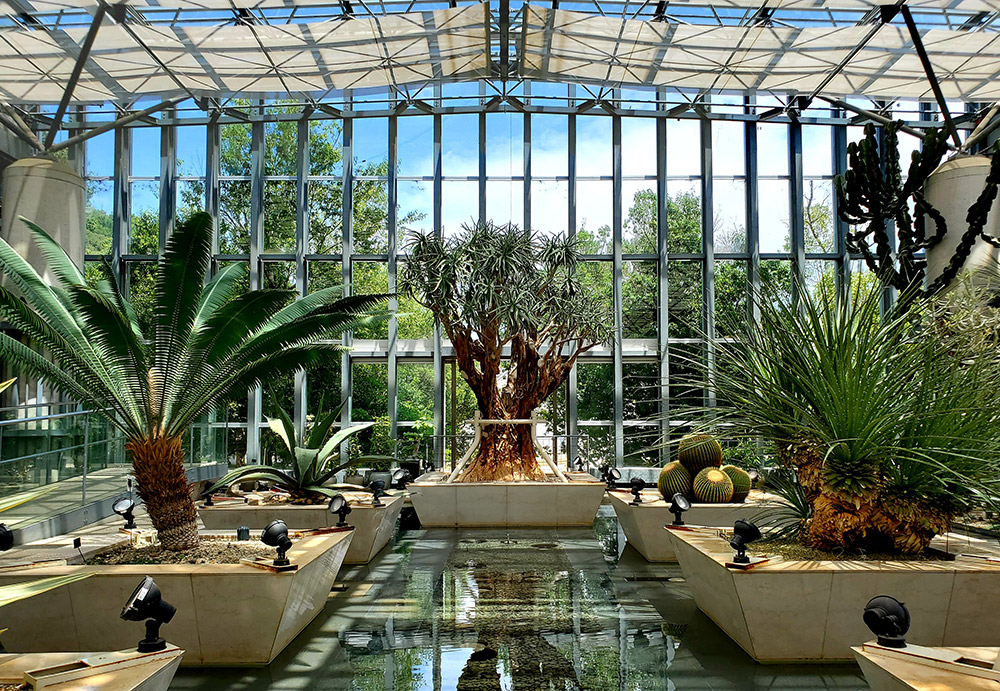 Exhibition Room 1: Green Sculpture
— Breathtaking Forms and Sculptural Beauty
