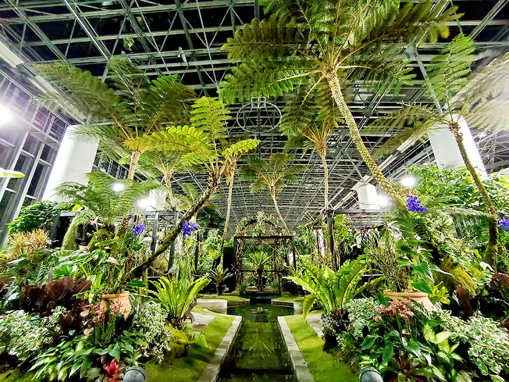 Exhibition Room 2: Garden of Color
— Tropical & Subtropical Plants
