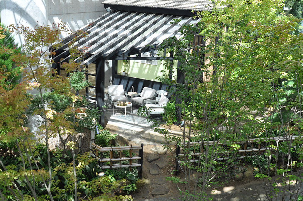 Exhibition Room 3: “Greenery in Daily Life” 
—Everyday Plants in Daily Life
