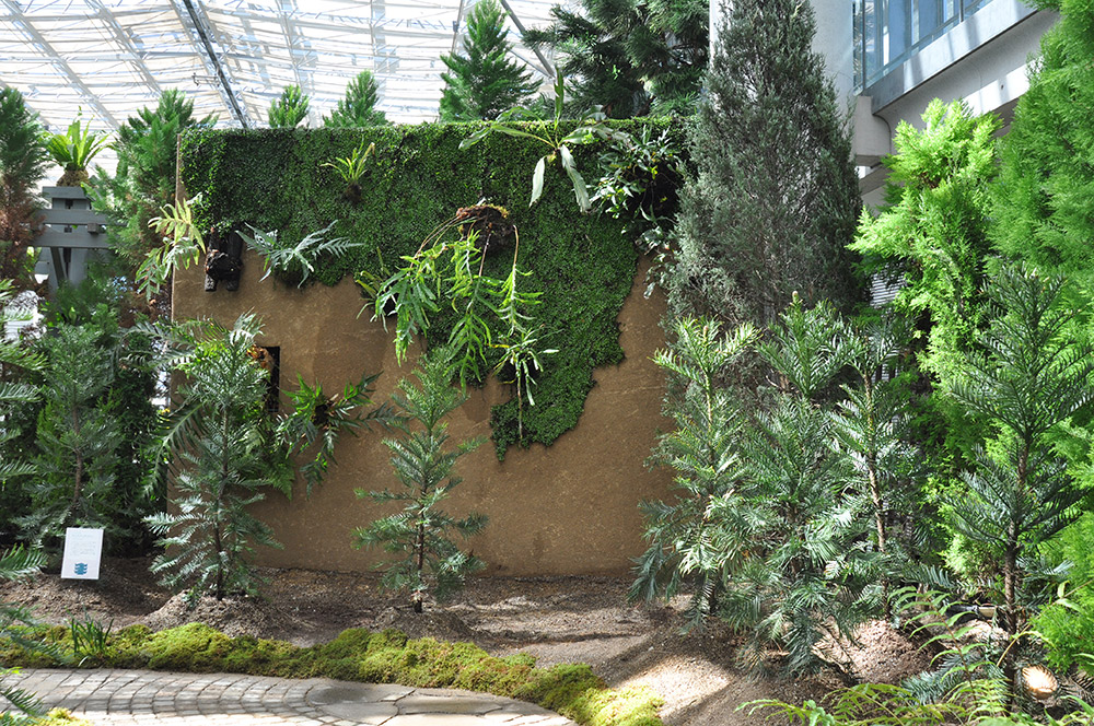 Exhibition Room 4: “Garden of Evolution”
—Tracing the Evolutionary History of Plants
