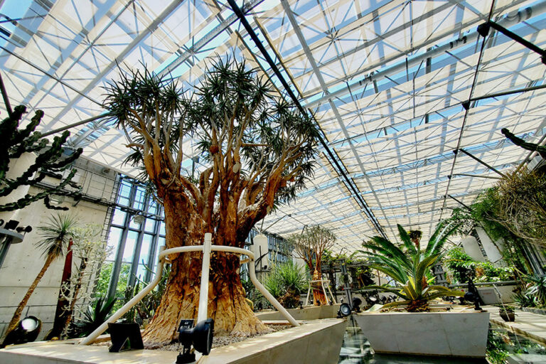 Awaji Greenhouse at Awaji Yumebutai: Home to a World-Class Tropical Plant Collection 