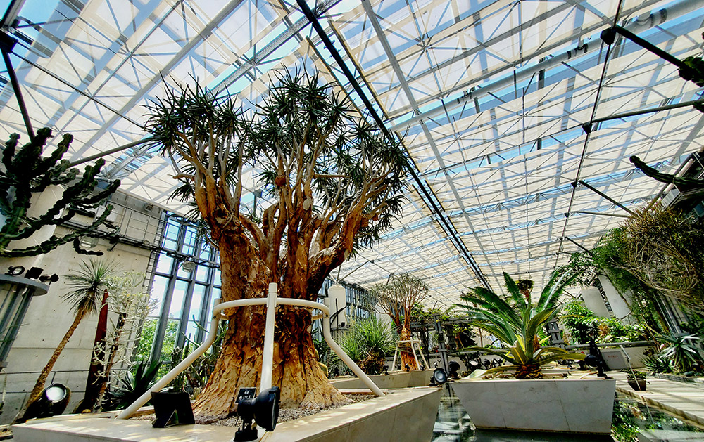 Awaji Greenhouse at Awaji Yumebutai: Home to a World-Class Tropical Plant Collection 