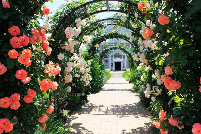 Shimizu Park Flower Fantasia: A Floral Haven That Brings a Sense of Healing with Every Step