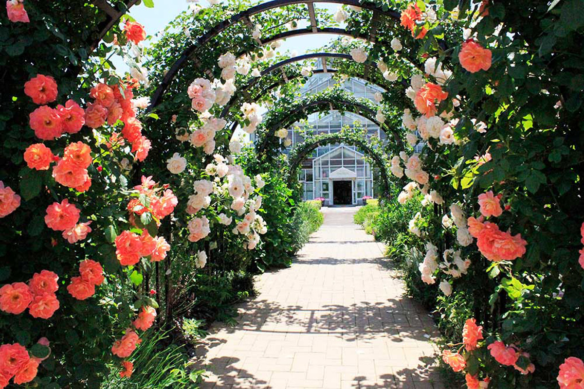 Shimizu Park Flower Fantasia: A Floral Haven That Brings a Sense of Healing with Every Step