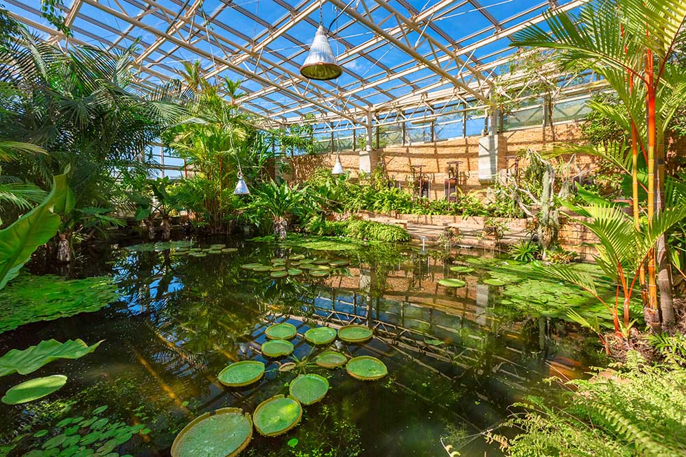 The Victoria Greenhouse