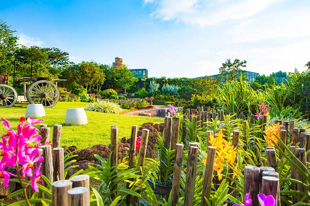Beyond the Greenhouses
A World of Exotic Plants Awaits