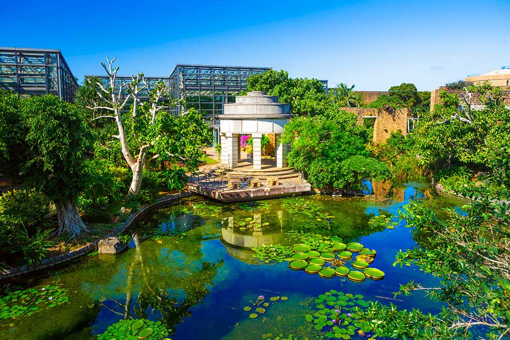 Lotus Pond