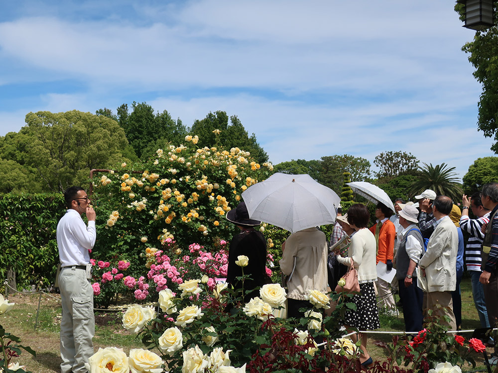 The park is also home to the World Hall of Fame Rose Garden
