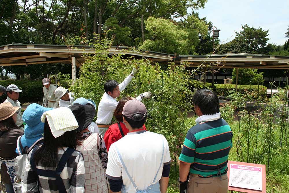 a wide variety of events are held throughout the year.