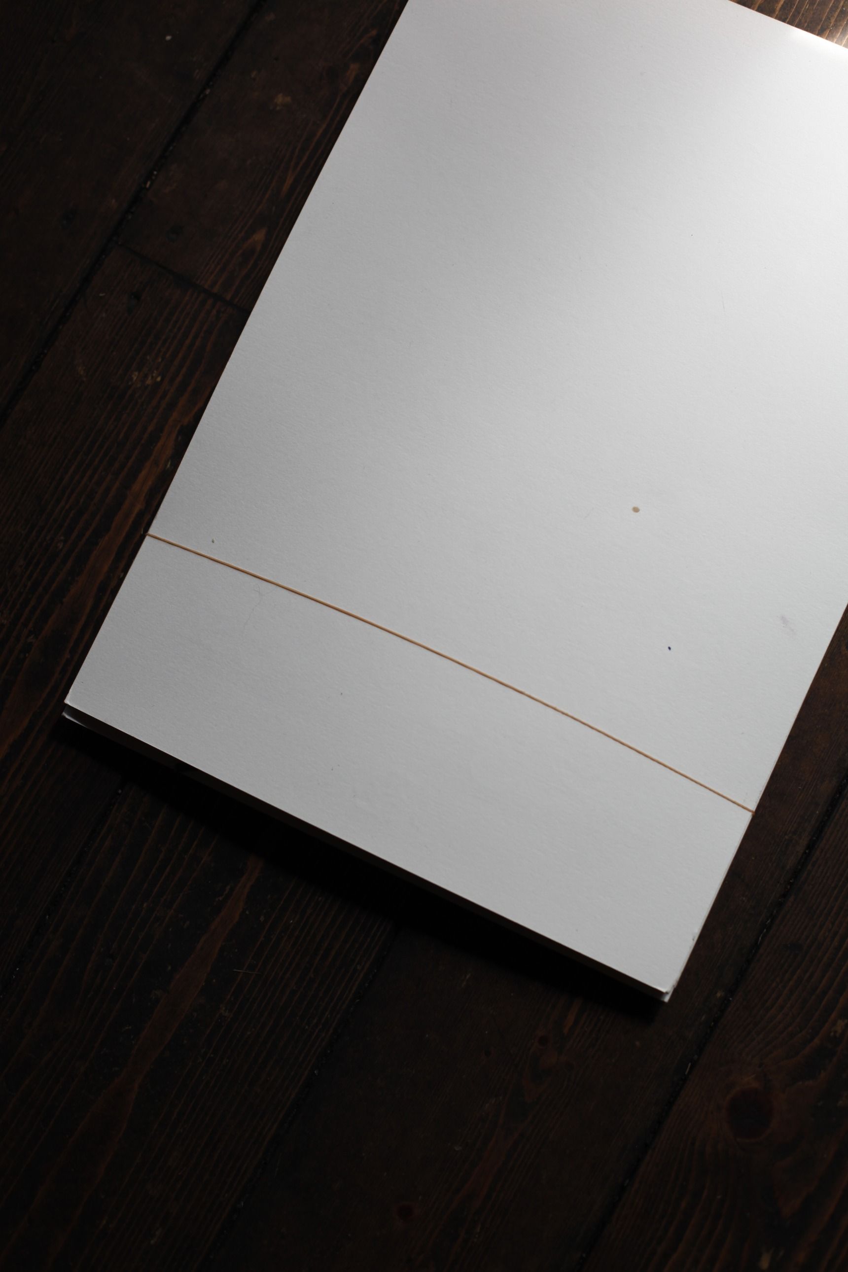 チューリップの 上手な押し花の作り方と飾り方アイデア Gardenstory ガーデンストーリー チューリップの 上手な押し花の作り方と飾り方アイデア Gardenstory ガーデンストーリー