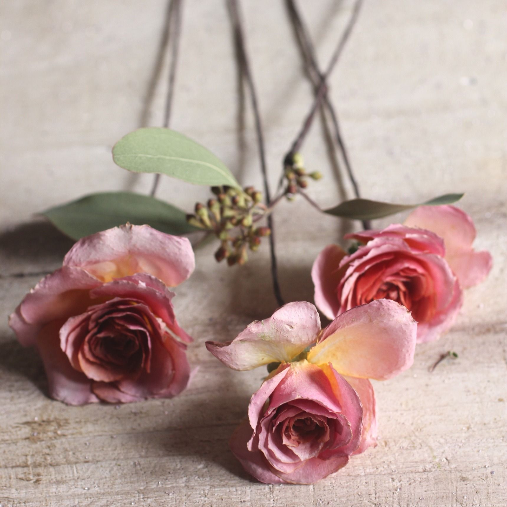 バラの 上手なドライフラワーの作り方と簡単アレンジ Gardenstory ガーデンストーリー バラの 上手なドライフラワーの作り方と簡単アレンジ Gardenstory ガーデンストーリー