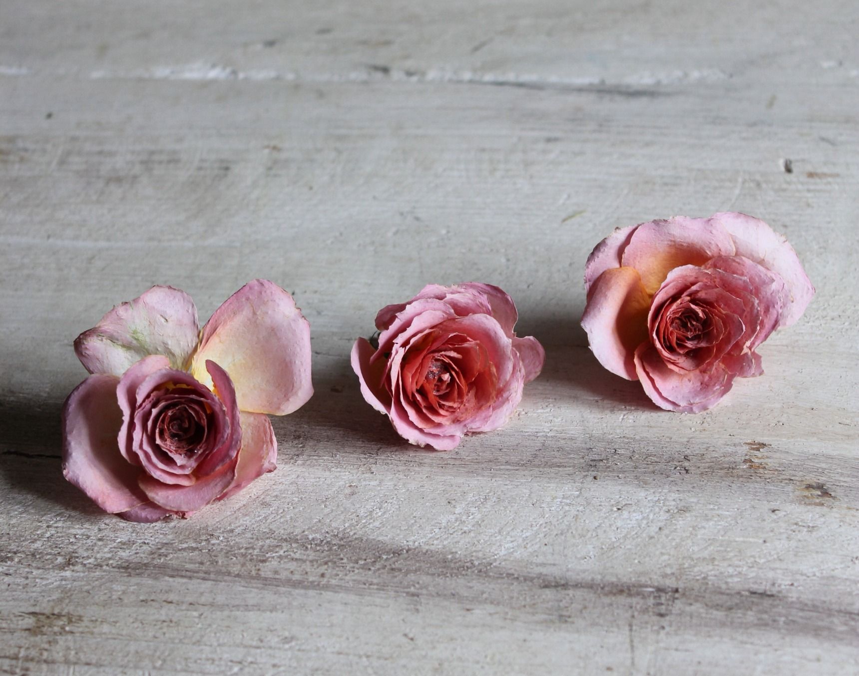 バラの、上手なドライフラワーの作り方と簡単アレンジ | GardenStory 